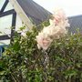 Dsc00806