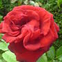Dsc00820
