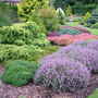 Foxhollow, Garden View