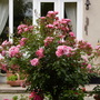 July_12th_00024