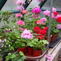 Captured_2007-9-1_00011