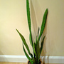 Dsc00065_edited