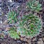 Dsc00062_edited
