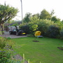 Front Garden (ceanothus Italian Skies)