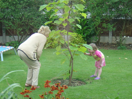 Youngest daughter and Paulownia (Paulownia tomentosa (Foxglove tree))