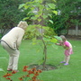 Youngest daughter and Paulownia (Paulownia tomentosa (Foxglove tree))