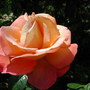 Dscn1344