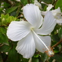 DSCI0129.jpg