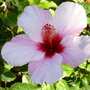 DSCI0124.jpg