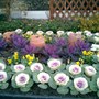 Picture_018