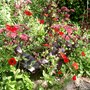 August_4th2007_003.jpg