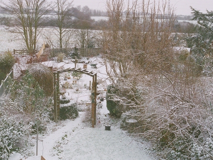 My Garden from the bedroom window