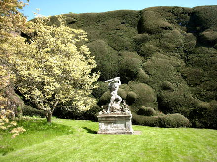 The bumpy hedges.