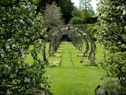 Pergola