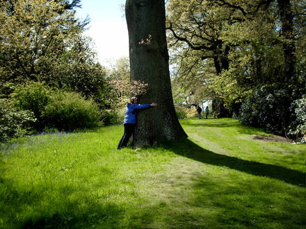 Great place for tree huggers and gardeners alike.