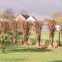 The_leylandi_hedge_just_cut
