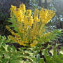 Dsc00065_edited