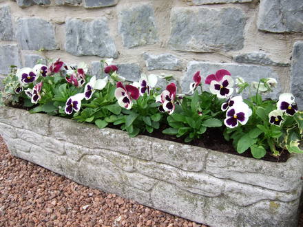 New_trough_Sept_07.jpg