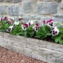 New_trough_Sept_07.jpg