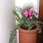 Chimney_upper
