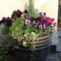 Green_tub_2