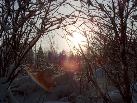 winter in Finland