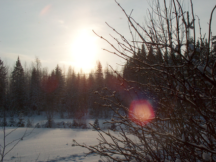 winter 