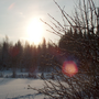 Winter_2