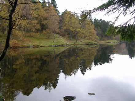 DSCN0094.jpg