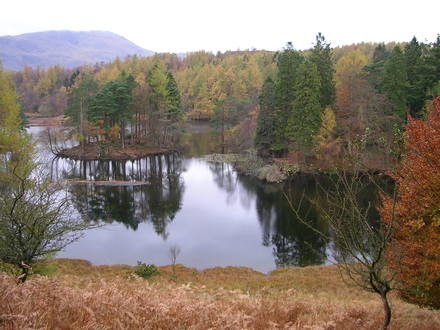 DSCN0098.jpg