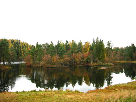 DSCN0100.jpg