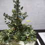 Roden Show 2007
