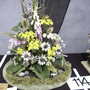 Roden Show 2007