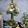 Roden Show 2007