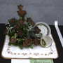 Roden Show 2007