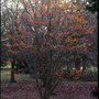 Picture_10