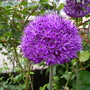 Captured_1997-8-31_00019