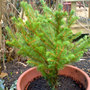 Dsc00062_edited