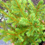 Dsc00063_edited