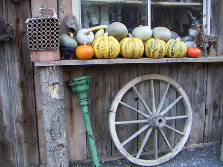 fruits of autumn