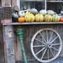 Pict0050