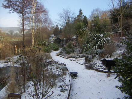 winter