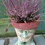 Dsc00062_edited