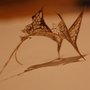 Holly leaf skeleton