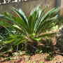 Dscn2243
