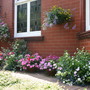 Summer_pots_2006