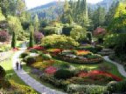 Butchart Garden