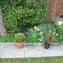 Rear_garden_spring_2005_right_border_1