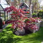 Captured_2007-4-17_00000
