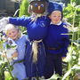 Jaseilandscarecrow